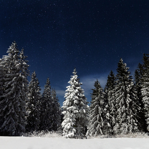香蕉在线观看视频
