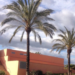 香蕉在线观看视频
