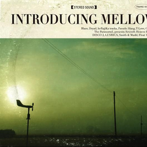 香蕉在线观看视频
