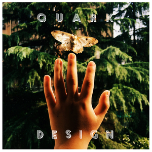 香蕉在线观看视频
