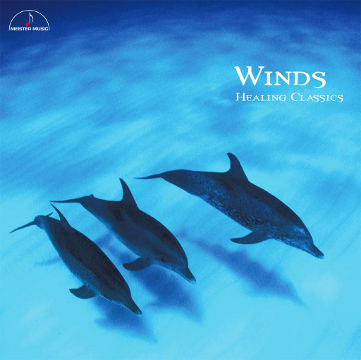 香蕉在线观看视频
